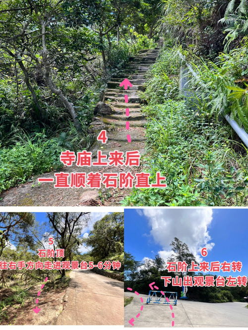 惠州双月湾观景台免费上山15分钟捷径路线