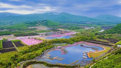 双鸭山市:聚焦“四大新经济” 培育高质量发展新增长极